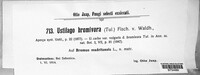 Image Associated With the Occurrence